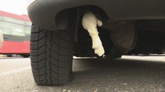 Na bratislavskom sídlisku vyčíňa vandal. Autá, na ktoré sa zameral, majú spoločnú jednu vec