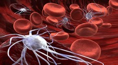 Martina Moravcová: Myslím na synovu budúcnosť