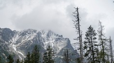 Pripravte sa na najhustejšie sneženie od začiatku sezóny. V týchto oblastiach napadne najviac zrážok
