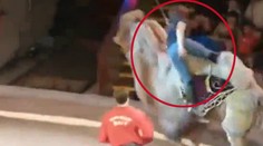 Diváčka na tento trapas nikdy nezabudne. Smial sa jej celý cirkus