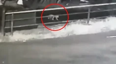 Batoľa vypadlo za jazdy z auta, rodičia si to všimli až doma