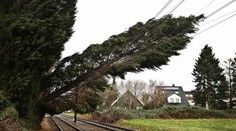 Pre sever a stred Slovenska platí výstraha pred silným vetrom