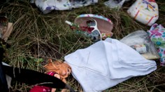 Osobné veci obetí letu MH17 sú v deviatich škatuliach