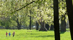 Počasie nás na budúci týždeň príjemne prekvapí