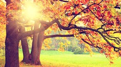 Aj keď je jeseň, stále nás čakajú vysoké teploty