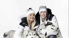 Znie to neuveriteľne, ale už sa kradnú aj plemenné psy