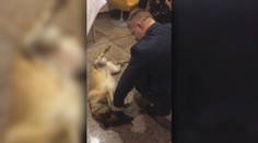 Premiér Fico má novú komunikačnú stratégiu, viac využíva video