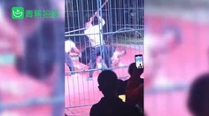 VIDEO: Cirkusový medveď napadol krotiteľa. Šelmu mlátili po hlave lopatou, aby ho pustila