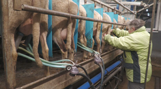 Chcú robiť z domu a mať benefity. Mladým manuálna práca nevonia, nerozhoduje ani pekný plat