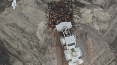 Levičania sú zhrození. Na vojenské cvičisko im opäť začali zahrabávať mŕtvy dobytok