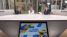 V europarlamente je opäť na stole veková hranica pre sociálne siete. Európskym inštitúciám všetko dlho trvá, tvrdí Beňová