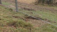 Uprostred chránenej krajinnej oblasti vyrástol dvojmetrový vymurovaný plot