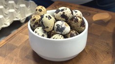 Prepeličie vajcia namiesto slepačích: Drahšia alternatíva, ktorá má jeden významný zdravotný benefit