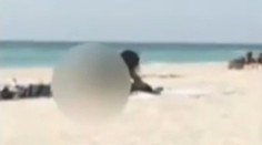 Sexoval na pláži uprostred dňa. Do väzenia pôjde na dva a pol roka