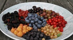 Mnohé naše deti ich ani nepoznajú, no sú chutné a najmä zdravé