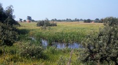 Vedci na základe DNA analýzy určili, kde leží pravlasť Slovanov. Východnú Európu osídlili mierumilovným spôsobom