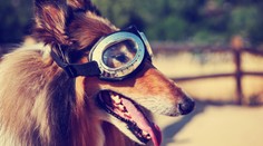 V týchto častiach Slovenska sa budú tešiť. Teploty atakujú 20°C