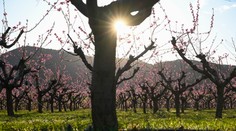 Predpoveď na Veľkú noc: Stačí nám krátky rukáv, teploty dosiahnu letné hodnoty