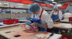 Mali problém nájsť si prácu, teraz kariérne stúpajú. Jeden z najbohatších Slovákov má pre ľudí dôležitý odkaz