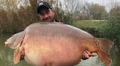 V Maďarsku padol nový svetový rekord: Tak veľkého kapra ešte nikto nikdy nechytil