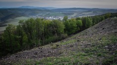 Taraba chce uvoľniť pravidlá pre výrub stromov a krov. Ochranári varujú pred možným zneužitím zákona