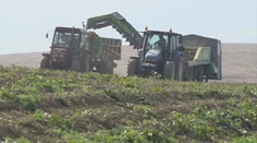 Farmári stále nedostali peniaze od štátu. Minister Takáč sľubuje nápravu