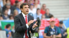 Predviedli sme výborný výkon, skonštatoval kouč Walesu