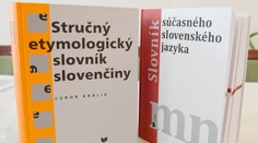Ochrana jazyka či potláčanie menšín? Ministerstvo kultúry pripravuje novelu zákona o štátnom jazyku