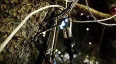 Svetlá na vianočnom stromčeku v Bratislave môžu spôsobiť skrat: Elektrikár sa len chytil za hlavu