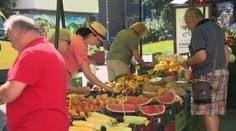 Dopestovali ste viac ako potrebujete? Svoje potraviny môžete predať aj bez živnosti