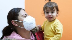 Slovensko má problém so žltačkou. Na Spiši je vyše 20 aktívnych ohnísk