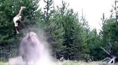 VIDEO: Bizón zaútočil na dievčatko (9). Vyhodil ju do vzduchu ako nič