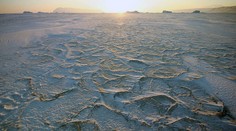 List, z ktorého mrazí. Pätnásťtisíc vedcov z celého sveta napísalo, čo čaká planétu Zem