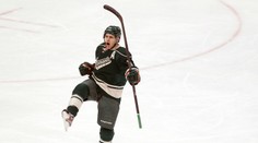 "Divosi" začnú vyraďovacie boje NHL bez veľkej opory