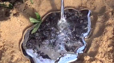 Američan do mraveniska nalial zinok. Takto to dopadlo