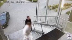 VIDEO: Jazdil po vplyvom alkoholu, sám sa udal. Mladík sa doviezol na policajnú stanicu, aby si overil, koľko má promile