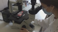 Nakazili sa osýpkami napriek tomu, že boli zaočkovaní. Ako je to možné?