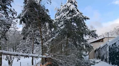 Košická zoo ostáva zatvorená. Sneh tam vyvrátil vyše 200 stromov