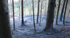 Požiar v Dobročskom pralese sa rozšíril aj do jadra rezervácie. Zasiahol približne hektár ochranného pásma