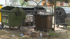 Na viacerých sídliskách v Košiciach bojujú s potkanmi. Sú premnožené, ľudia sa boja vynášať odpadky