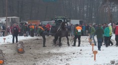 Furmani, ktorí na pretekoch kopali koňa, dostali pokutu 150 eur