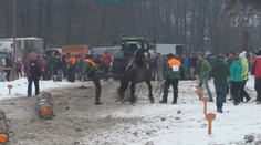 Furmani, ktorí na pretekoch kopali koňa, dostali pokutu 150 eur