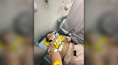 V jednom z vlakov sedela naša redaktorka: Hlavou som narazila do steny, zrazu tma