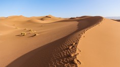 Sahara bola kedysi plná zelene. Vedci pravdepodobne zistili, prečo sa zmenila na púšť