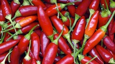 Chcete schudnúť? Tu je osem potravín, ktoré vám s tým pomôžu rýchlejšie