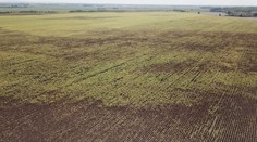 Takúto situáciu poľnohospodári ešte nezažili. Na jednom poli zaprší, o kúsok ďalej ani kvapka