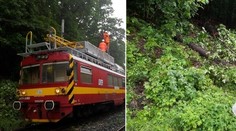 V Česku narazil vlak do stromu. Dvanásť zranených!