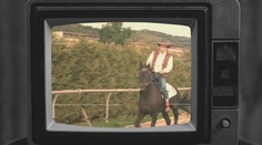 Niekto spravil hit, iný vypil pivo na „ex“. Pozreli sme sa, čo ponúkli politici v kampani tentoraz