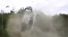 VIDEO: Hrôza na pretekoch rely. Z týchto záberov behá mráz po chrbte