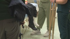 Slovenské nemocnice čelia rastúcej agresivite. Skúsený lekár varuje kolegov